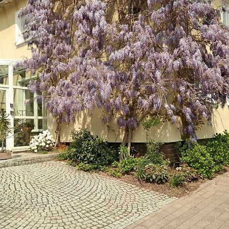 Pension Franzbäcker Warburg Exteriör bild