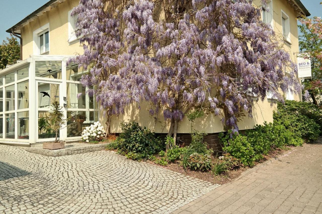 Pension Franzbäcker Warburg Exteriör bild